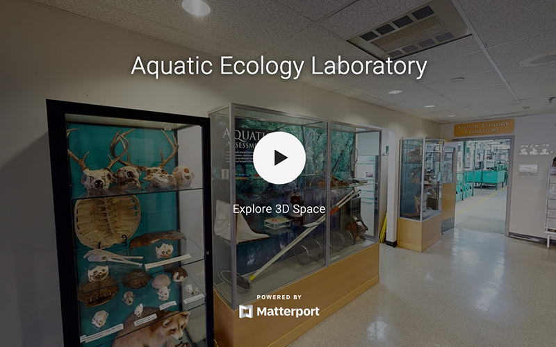 Photo of Aquatics Ecology Laboratory tour