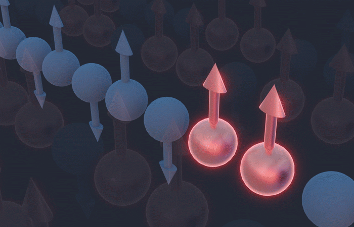Spin chains in a quantum system undergo a collective twisting motion as the result of quasiparticles clustering together. Demonstrating this KPZ dynamics concept are pairs of neighboring spins, shown in red, pointing upward in contrast to their peers, in blue, which alternate directions. Credit: Michelle Lehman/ORNL, U.S. Dept. of Energy 