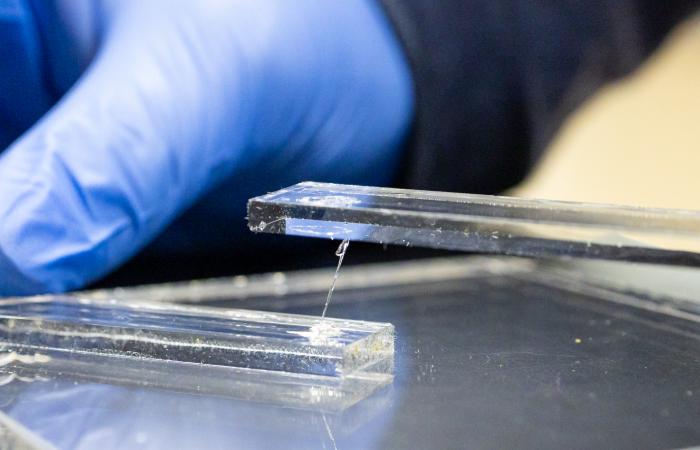 Caption: Researchers at Oak Ridge National Laboratory upcycled a common plastic to develop a novel reusable adhesive with exceptional strength and toughness. Carlos Jones/ORNL; U.S. Dept. of Energy
