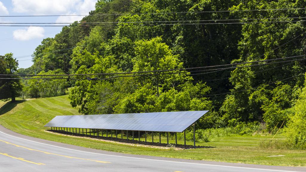 solar panels in front of a green wooded area