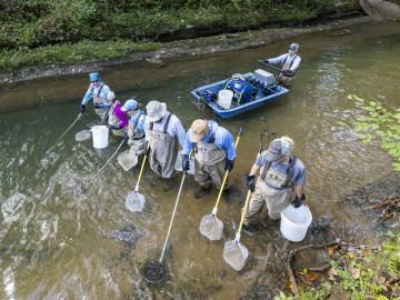 Five scientists and one in a boat are conducting fish sampling for the biological monitoring program on the DOE Oak Ridge Reservation.