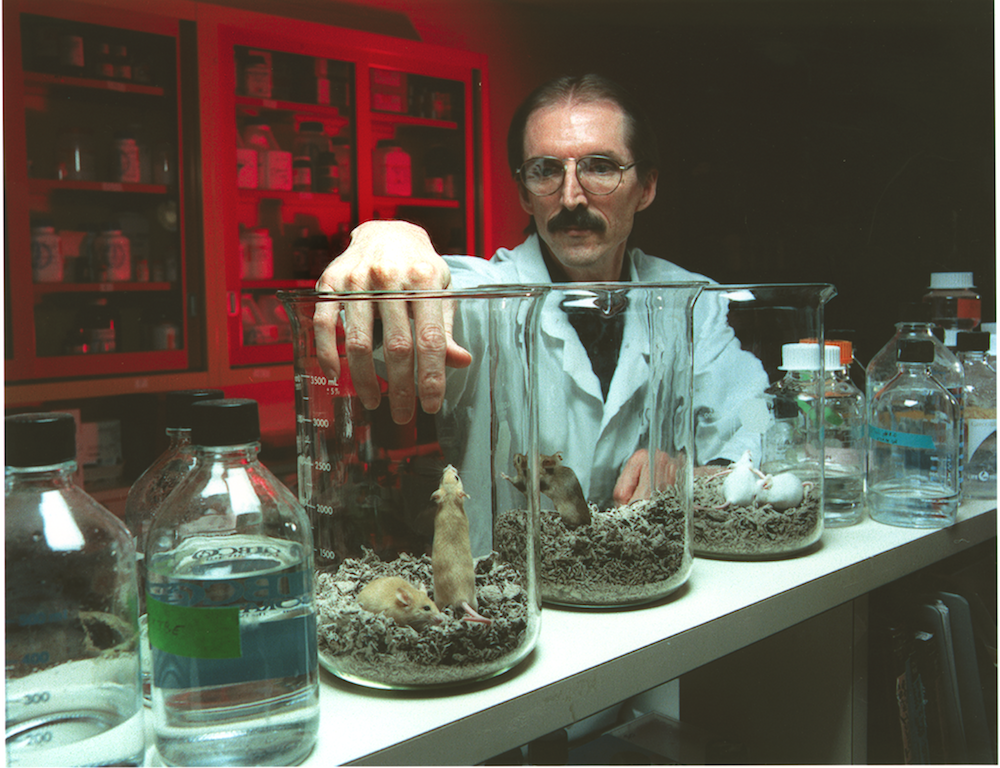 ORNL Image