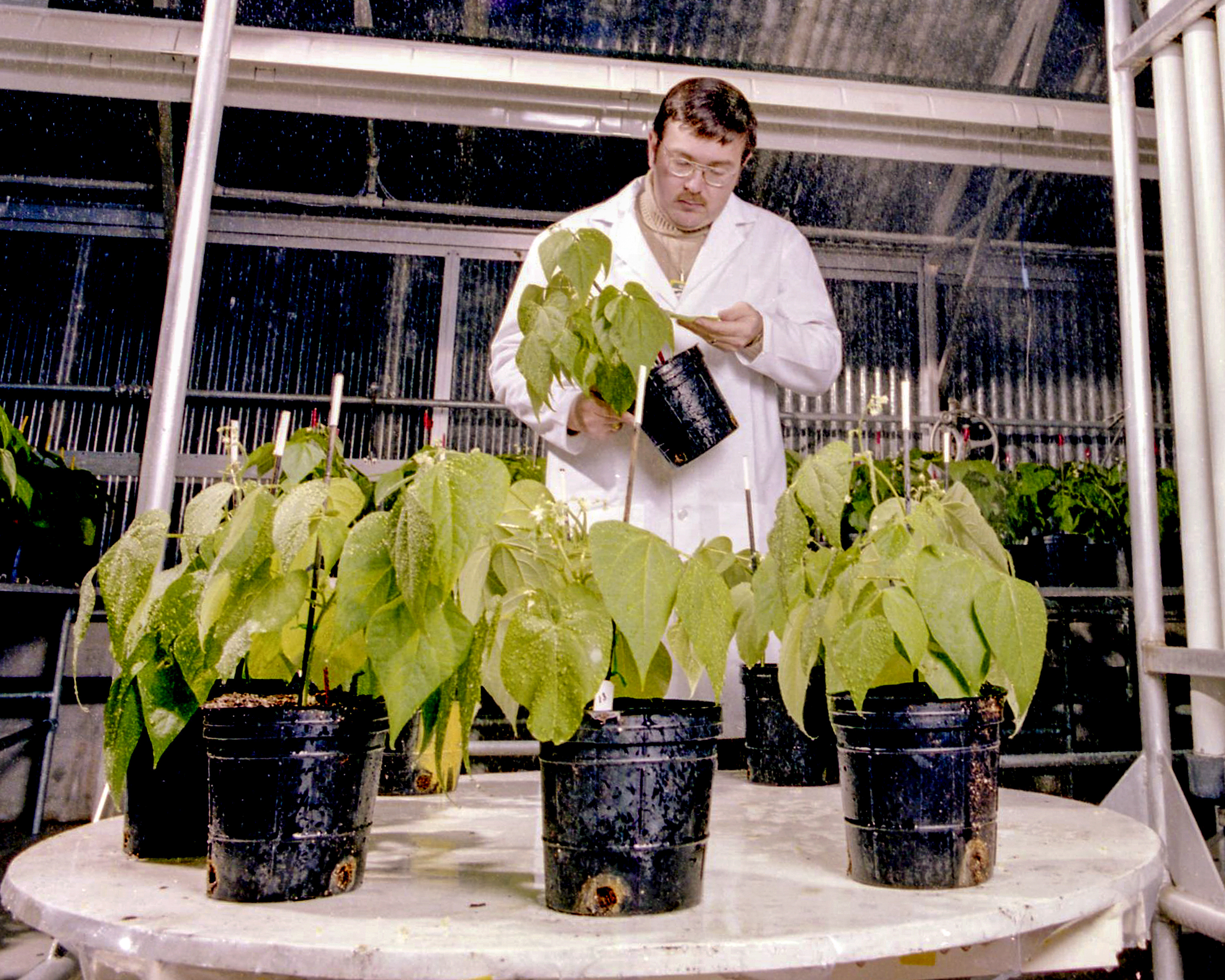 ORNL Image