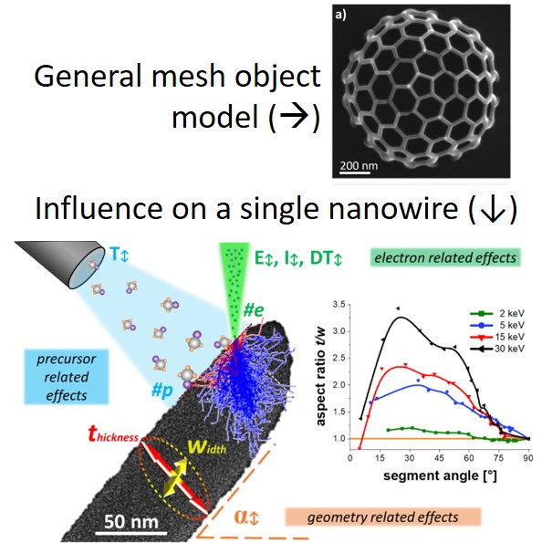 Shape Evolution And Growth Mechanisms Of 3d Printed Nanowires Ornl
