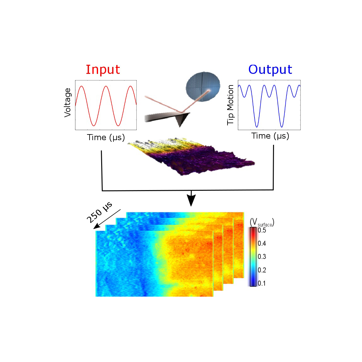 Scanning probe microscopy development