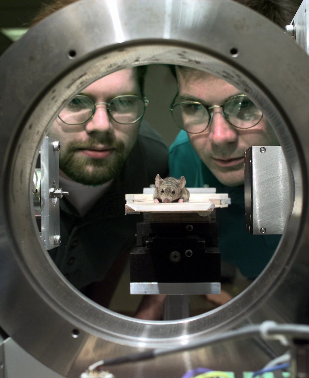 ORNL Image