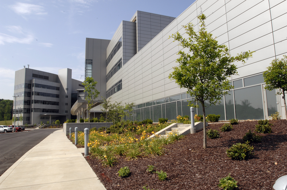 ORNL Image