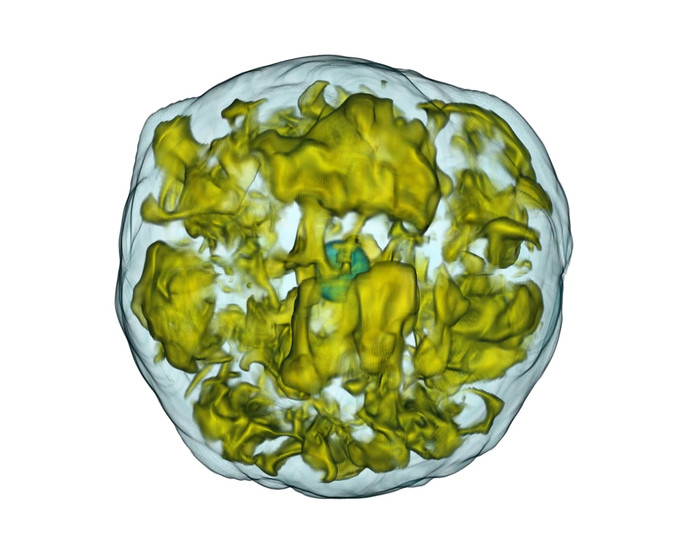 ORNL Image