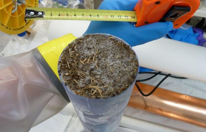 Soil samples like this one were examined at the Environmental Molecular Sciences Laboratory before and after thawing to determine how quickly molecules containing carbon are broken down by microbes.