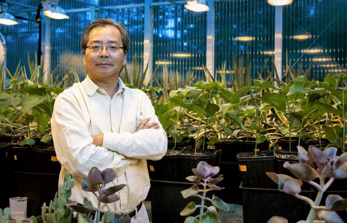 Lianhong Gu is an environmental scientist in the Ecosystem Science Group at ORNL.