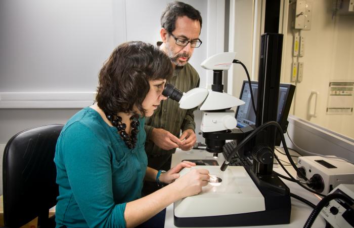 Brenda Pracheil and Bryan Chakoumakos examine the structure of an otolith under a microscope.