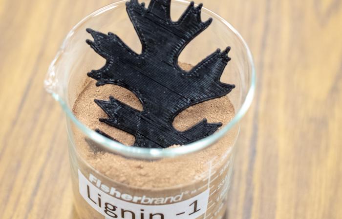 Using as much as 50 percent lignin by weight, a new composite material created at ORNL is well suited for use in 3D printing.