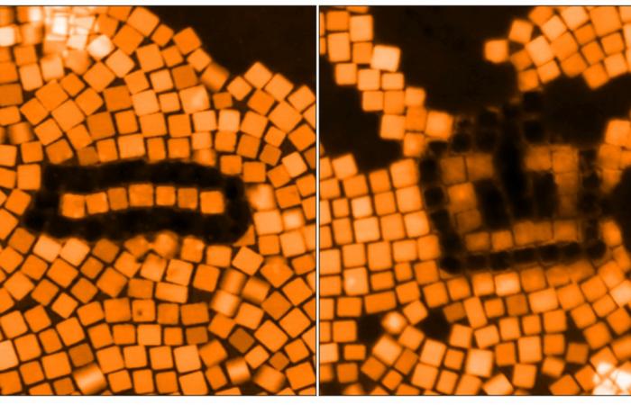 Each cube shown has its own plasmonic behavior. Bring them together in patterns — an antenna, left image, or split ring resonator, right image — and they “talk,” producing unique effects. Credit: Kevin Roccapriore/ORNL, U.S. Dept. of Energy