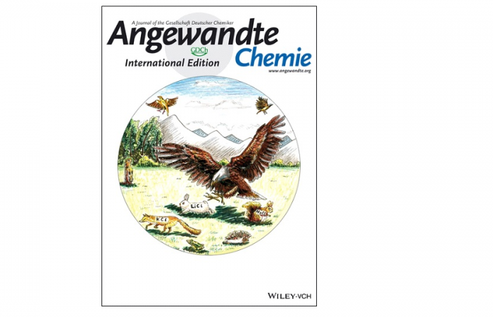 Angewandte Chemie (Cover) Selective Solid–Liquid and Liquid–Liquid Extraction 