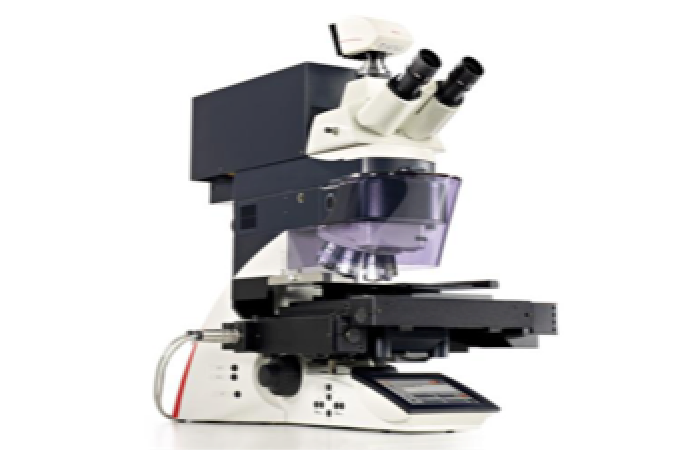 Leica laser microdissection system LMD7000 used in hybrid system for co-registered optical microscopy and mass spectrometry imaging