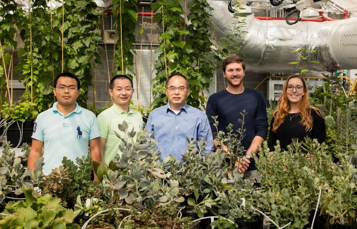 An ORNL-led research team identified 60 genes that exhibited convergent evolution in crassulacean acid metabolism species, including a novel variant of a “worker” enzyme critical to CAM plants’ water-use efficiency. Representing the team are, from left, D