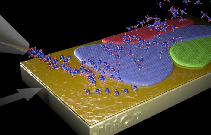 In a controlled environment, the fastest-growing orientation of graphene crystals overwhelms the others and gets "evolutionarily selected" into a single crystal, even on a polycrystalline substrate, without having to match the substrate’s orientation.