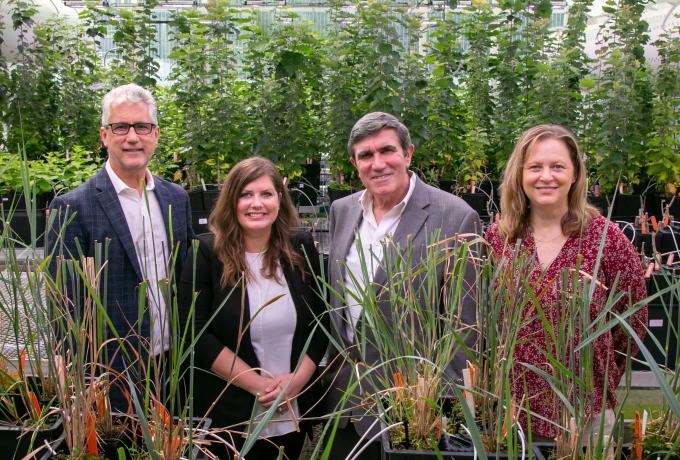 Center for Bioenergy Innovation team posing in greenhouse for renewal announcement.