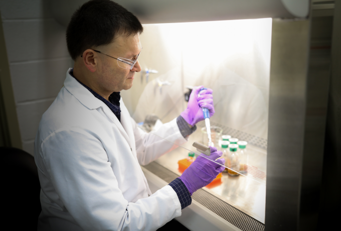 researcher in a white lab coat and purple latex gloves works with a pipette under a hood
