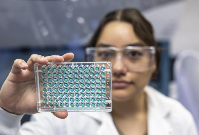 researcher holding up a colorful plate to the camera