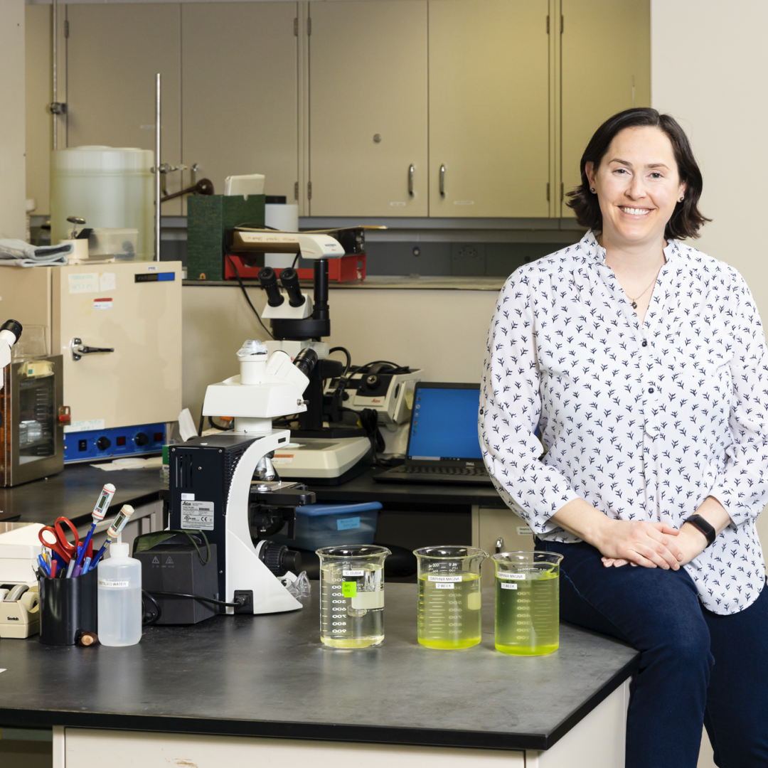 Louise Stevenson uses her expertise as an environmental toxicologist to evaluate the effects of stressors such as chemicals and other contaminants on aquatic systems. Credit: Carlos Jones/ORNL, U.S. Dept of Energy