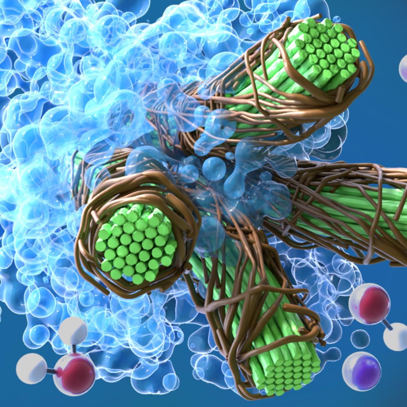 ORNL scientists used molecular dynamics simulations, exascale computing, lab testing and analysis to accelerate the development of an energy-saving method to produce nanocellulosic fibers. 