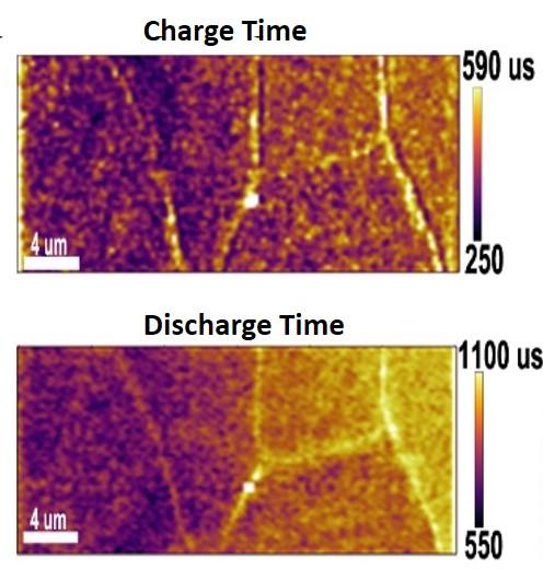 Mapping Photoinduced Ionic and Electronic Carrier Motion in Hybrid Perovskites