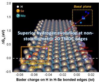 Optimal Electrocatalytic Hydrogen Evolution in 2D TMDs