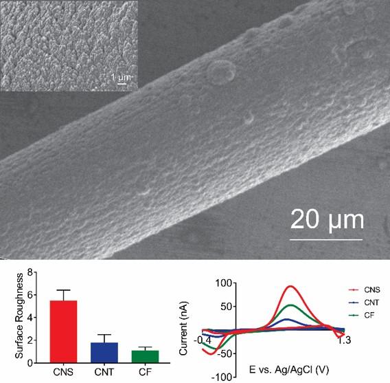 Carbon Nanospikes Demonstrate Enhanced Electrochemical Performance Compared to Carbon Nanotubes/Fibers