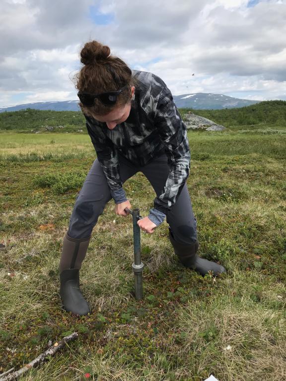 Elizabeth Herndon takes a soil sample at a field site outside Abisko, Sweden in July 2019.