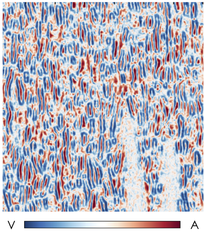 After studying the mixture of lead titanate and strontium titanate with x-ray diffraction imaging, the research team used machine learning techniques to identify two different phases at the nanoscale level: ferroelectric-ferroelastic (red, A) and polarization vortices (blue, V). Credit: Oak Ridge National Laboratory, U.S. Dept. of Energy.