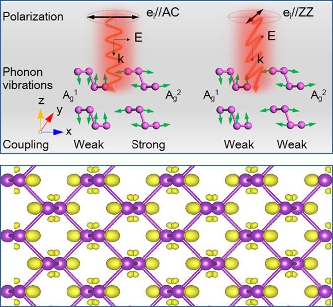Angle- and Energy-Resolved Raman Scattering Enables Visualizing Electron-Phonon Coupling in Black Phosphorus