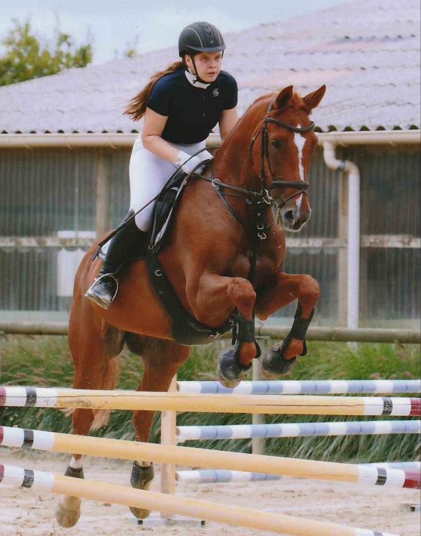 Friederike competes with her horse Leon in cross country, dressage, and normal jumping. She has raised the German half Trakehner since he was 2 years old.