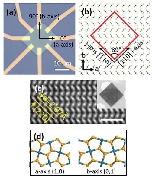 Growth of 2D Pentagonal PdSe2 Crystals with High Mobility