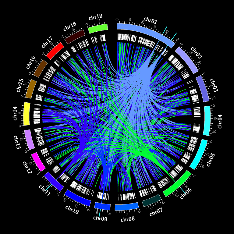 omics visual