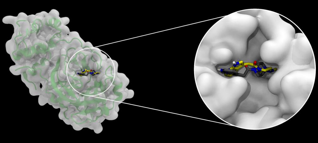 A docking example emphasizing how pockets in the SARS-CoV-2 main protease can be occupied by small molecules in different configurations, with the black molecule representing an experimentally determined position and yellow representing a simulated position. 