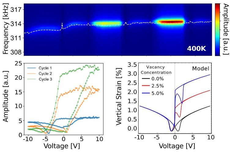 Dynamic tuning of local defect concentration delivers enhanced electrochemical response.