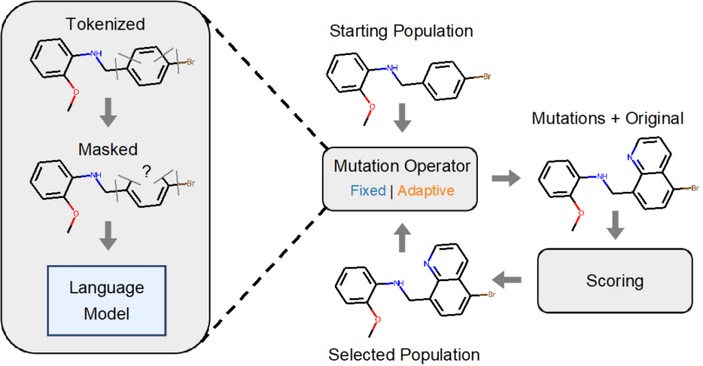 Strategy for molecule optimization using a language model (i.e., molecular transformer). CCSD ORNL Oak Ridge National Laboratory AI Initiative