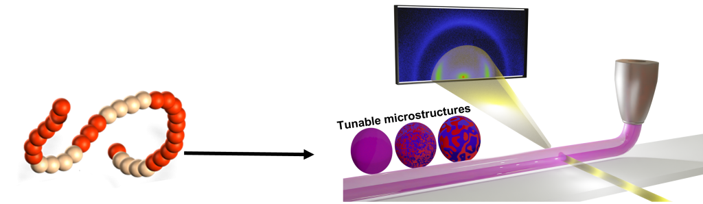 Naskar project webpage image