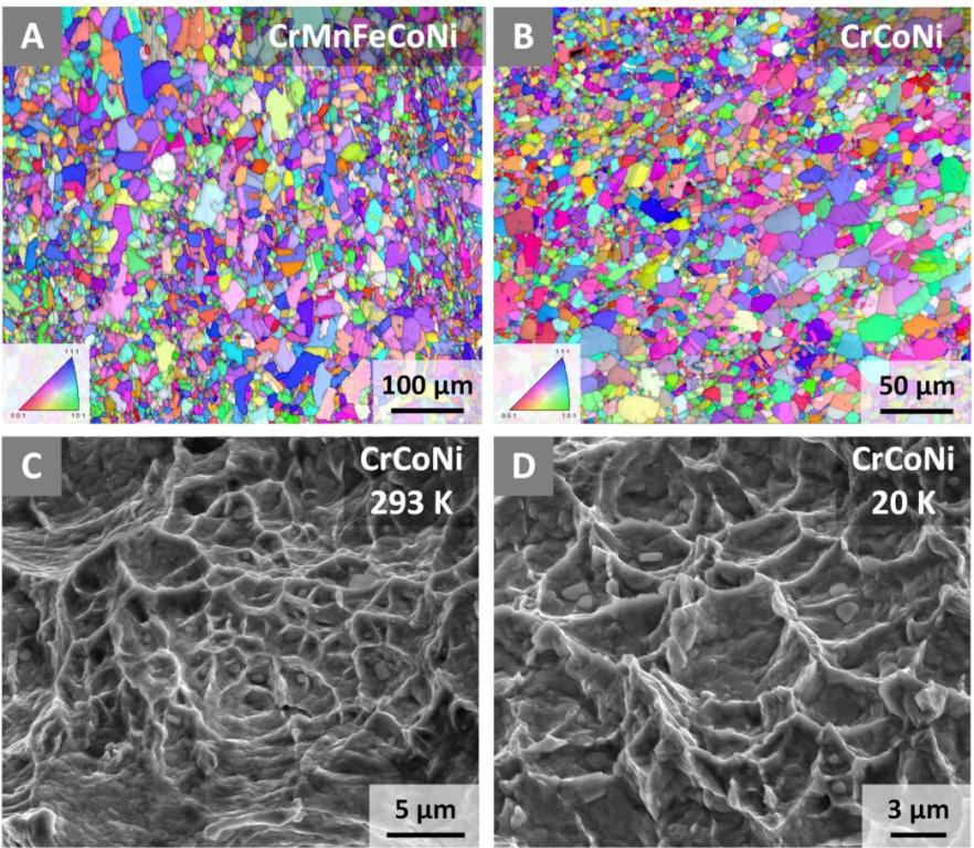 These images, generated from scanning electron microscopy, show the grain structures and crystal lattice orientations of (A) CrMnFeCoNi and (B) CrCoNi alloys. (C) and (D) show examples of fractures in CrCoNi at 293 K and 20 K, respectively. Credit: Robert Ritchie/Berkeley Lab