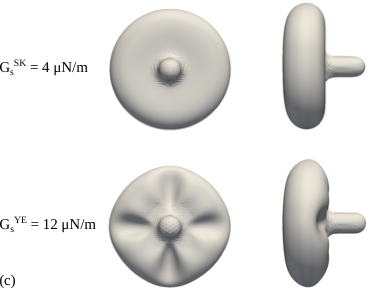 Visualization of the aspirated RBC shape.