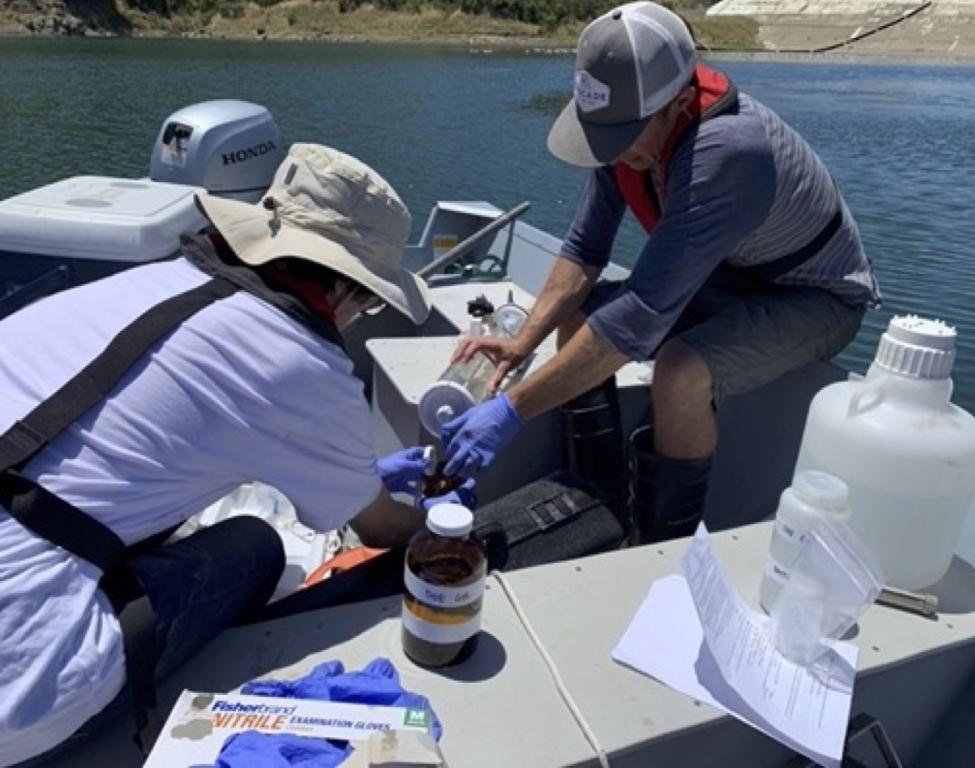 Students from UC Merced collect water samples at Guadalupe Reservoir in Santa Clara County, California. Credit: UC Merced
