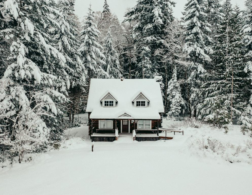 House in snowy woods (Unsplash)