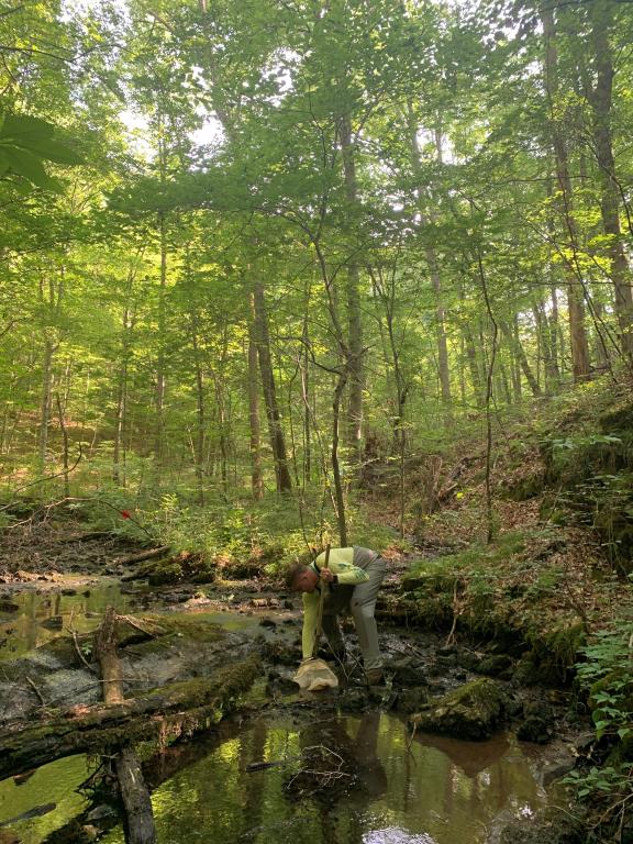 student working in stream surrounded by trees