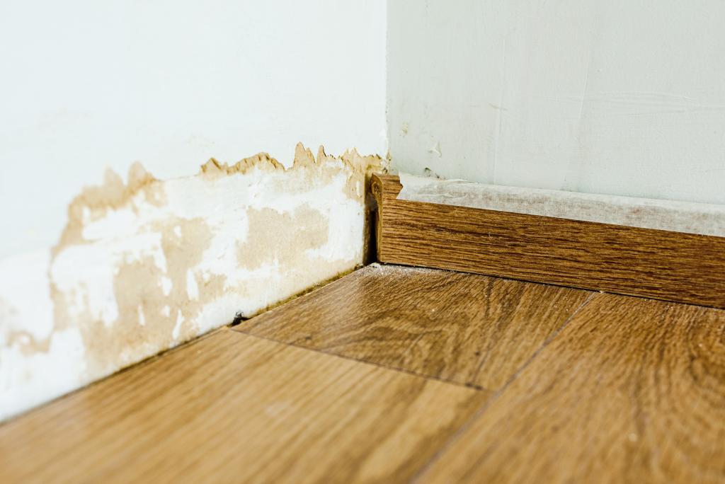 Water-damaged skirting board