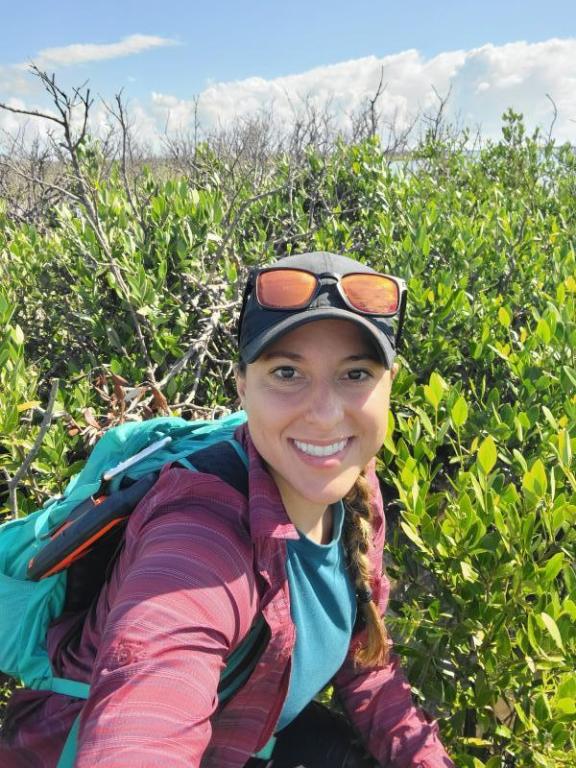 Shannon Jones standing among the surviving dwarf mangroves. Credit: Shannon Jones/ORNL, U.S. Dept. of Energy