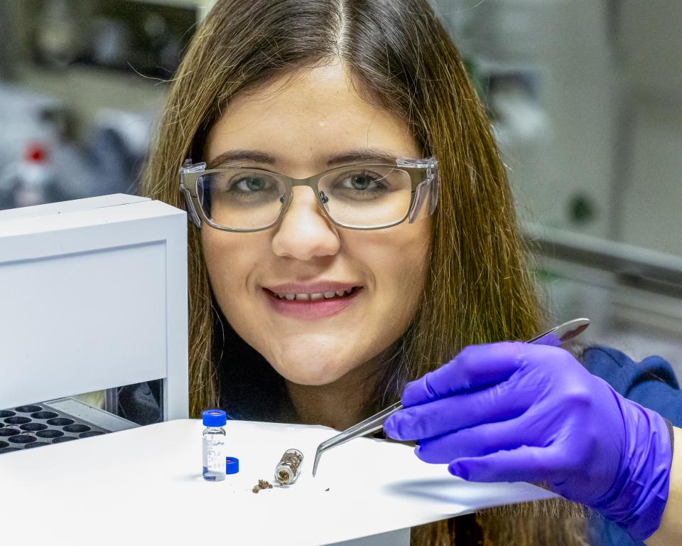 Ilenne Del Valle is merging her expertise in synthetic biology and environmental science to develop new technologies to help scientists better understand and engineer ecosystems for climate resilience. Credit: Carlos Jones/ORNL, U.S. Dept of Energy