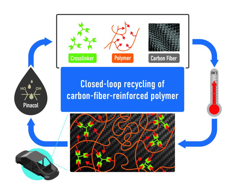 A polymer, functionalized carbon fibers and a crosslinker are mixed and cured. The components can be retrieved by addition of an alcohol, pinacol. Credit: Philip Gray and Anisur Rahman/ORNL, U.S. Dept. of Energy