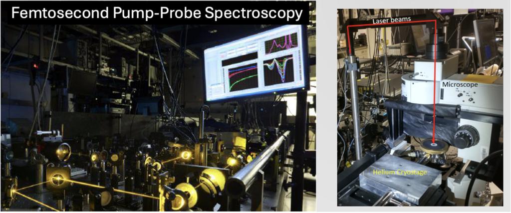 FHN fs pump probe setup in J-147