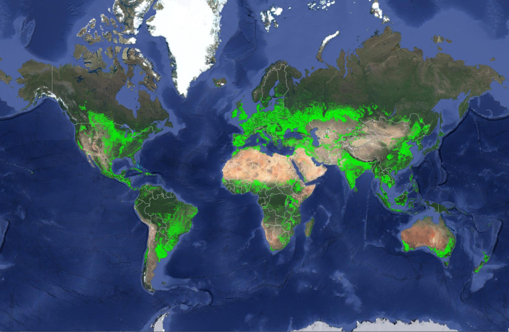 : ORNL climate modeling expertise contributed to an AI-backed model that assesses global emissions of ammonia from croplands now and in a warmer future, while identifying mitigation strategies. This map highlights croplands around the world. Credit: U.S. Geological Survey 